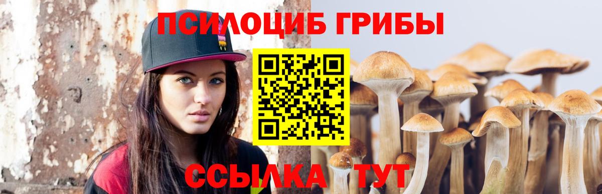 Псилоцибиновые грибы прущие грибы Азов